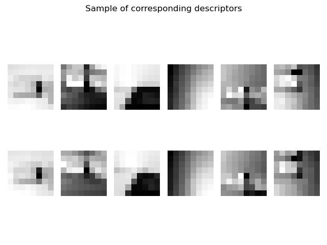 paired descriptors