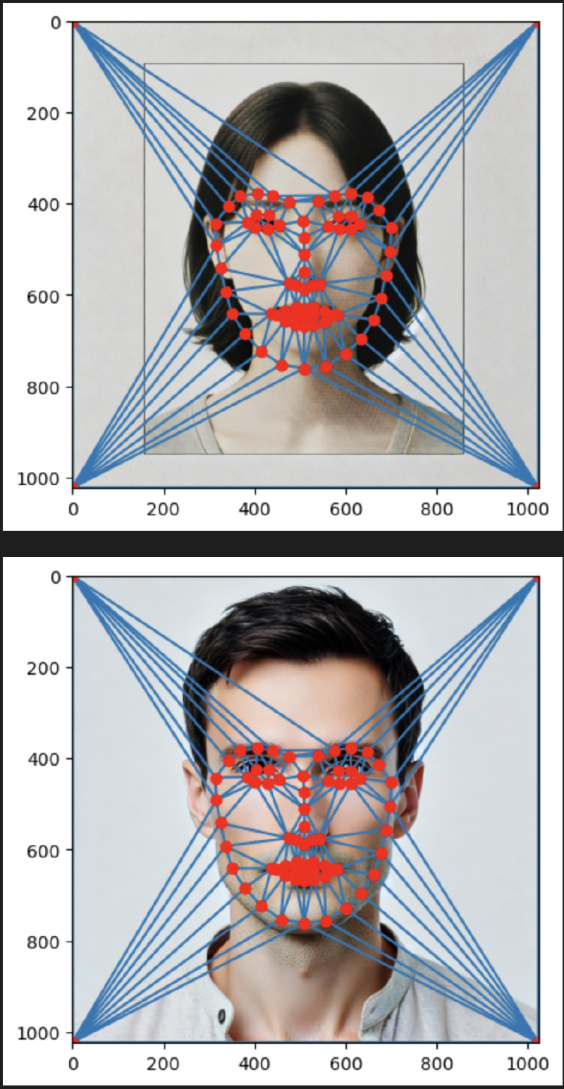 Triangulation and feature points