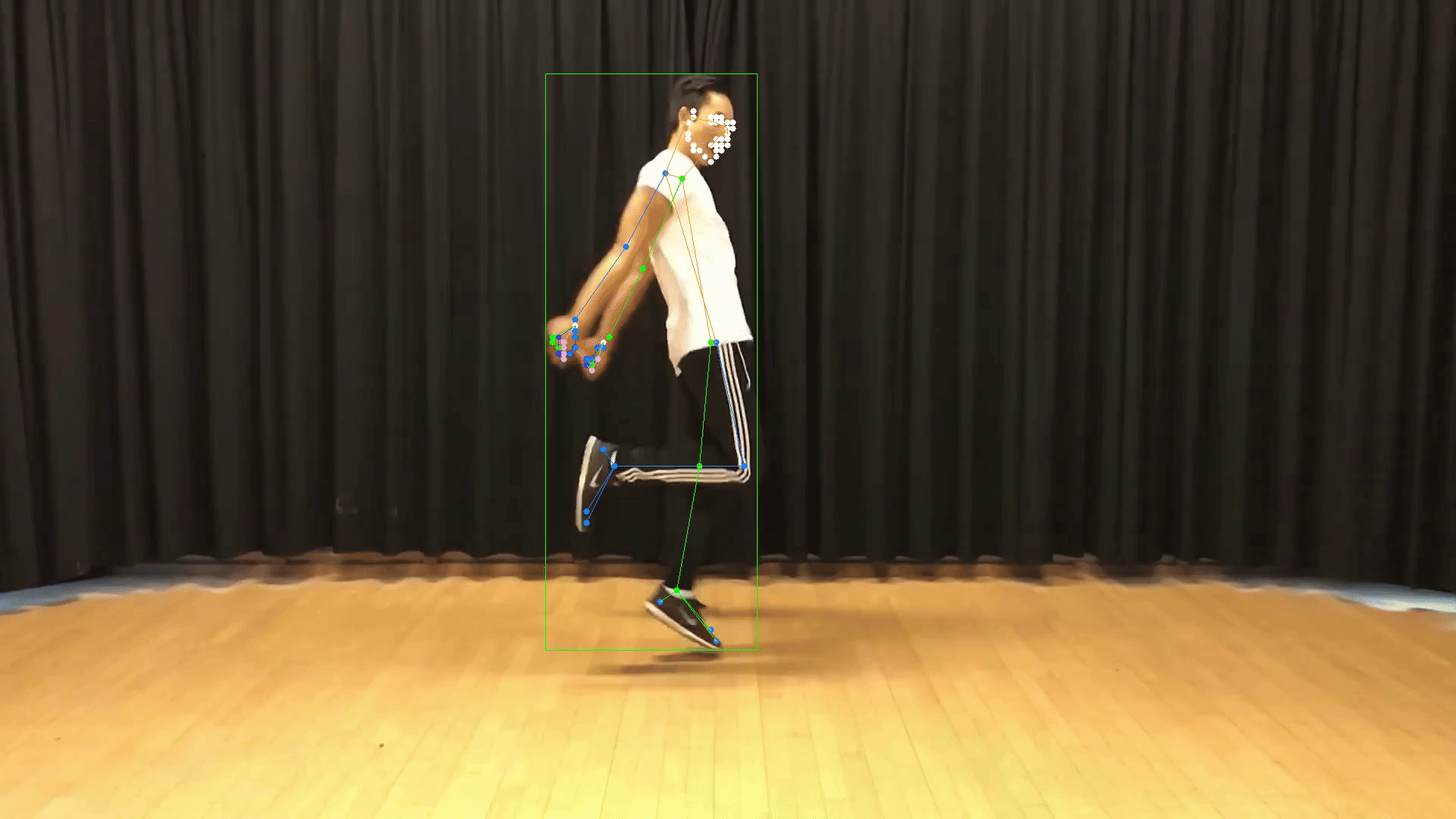 pose_animation.gif